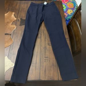 Skinny mid rise pant. Blue in color. Never worn